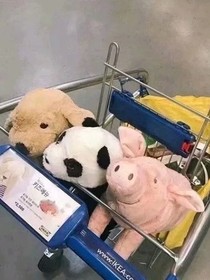 伊，点点