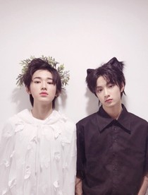 太子的小狐貍
