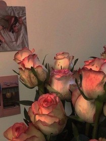 请用玫瑰祭奠我（句子铺）