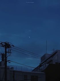 关于白月光这样的人——d182
