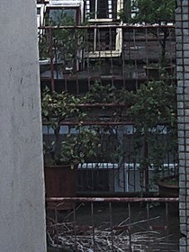 TNT：十八栋七单元