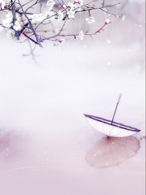 夫君别玩了