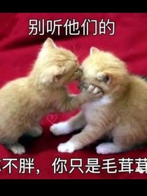 行走在二次元的小魚