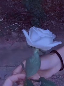 趁花開時相遇