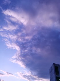 又逢春