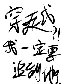 穿越我一定要追到他