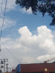 耳廓上的音符