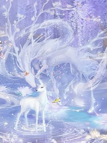 冰与影的彼岸