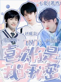 TNT時(shí)代少年團(tuán)：喜歡你是我的秘密