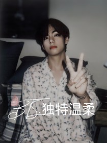 BTS：独特温柔——d689