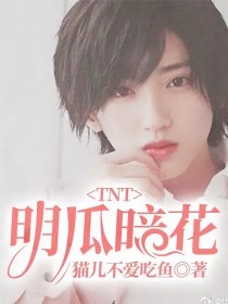 TNT：明瓜暗花