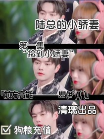 陆总的小骄妻