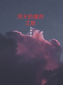 洪天的魂师之旅