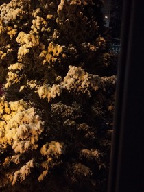 窩是嫩爹