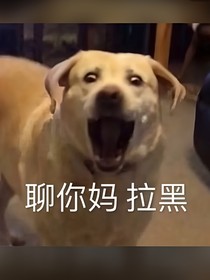 我的那些奇葩事