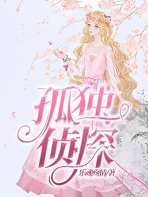 孤獨偵探