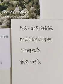 杂菜一锅煲