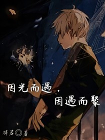 因光而遇，因遇而聚