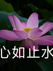 天帝一语