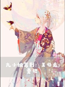 九小姐駕到：王爺追妻記