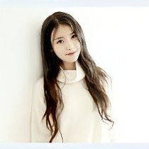 TF家族：书的世界