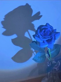 蔡徐坤之爱情的迷恋