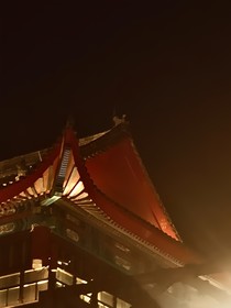TNT：芣苢