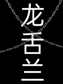 龙舌兰
