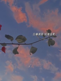 云中錄