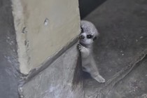 时间注水