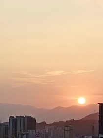你好，我的鹤先生