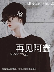 再见阿鑫