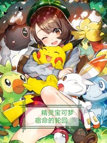 精灵宝可梦：宿命的轮回