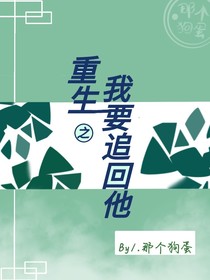 重生我要追回他
