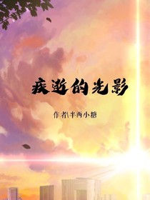 疾逝的光影
