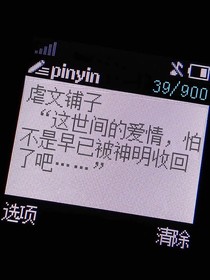 虐转甜的小铺子