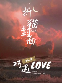 折猫封面
