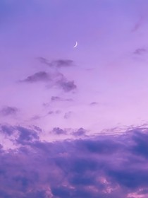 世界不配你，溫柔不及你