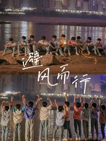 张极：避风而行