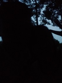 我们梦的起点