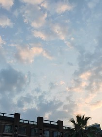 短篇小說集——霖蔚