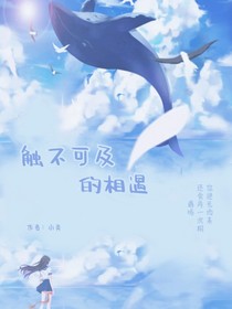 触不可及的相遇