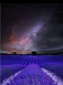 千古玦塵：月落星啟