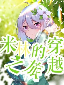 凹凸：米林的穿越之旅