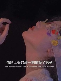 竹子语录大全2