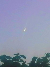 难道真的有错吗……
