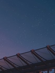 你真的是烦死了