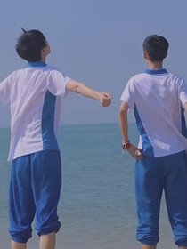 扶桑花的夏天