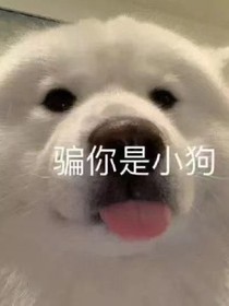 小屋子啊