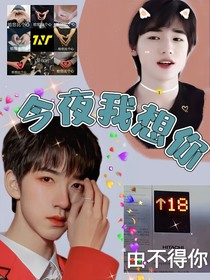 TNT：今夜我想你